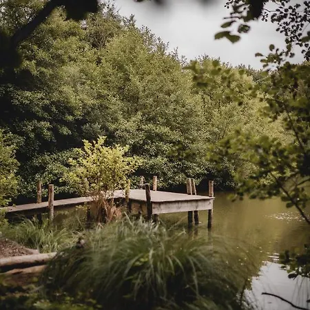 La Tiny Du Parc : Saint Symphorien Des Monts بيت خشبي